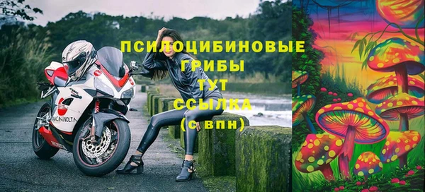 jwh Новокубанск