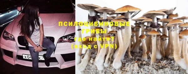 гашиш Новодвинск