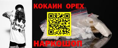гидра Гатчина