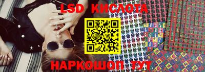 гидра Гатчина