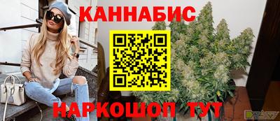 гидра Гатчина