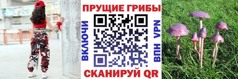 мега как войти  Кашира  Псилоцибиновые грибы мухоморы  наркотики 
