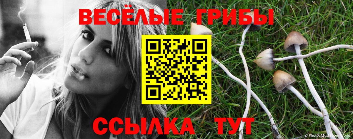 Галлюциногенные грибы ЛСД  Кашира  Псилоцибиновые грибы Cubensis 