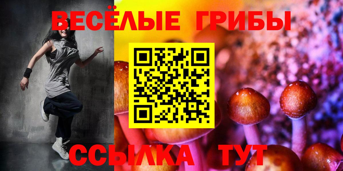 Галлюциногенные грибы мицелий Кашира