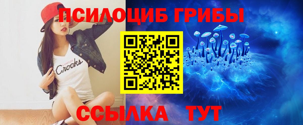 Кашира  Псилоцибиновые грибы мухоморы  Вход с VPN 