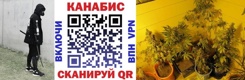 закладки Кашира МАРИХУАНА Amnesia
